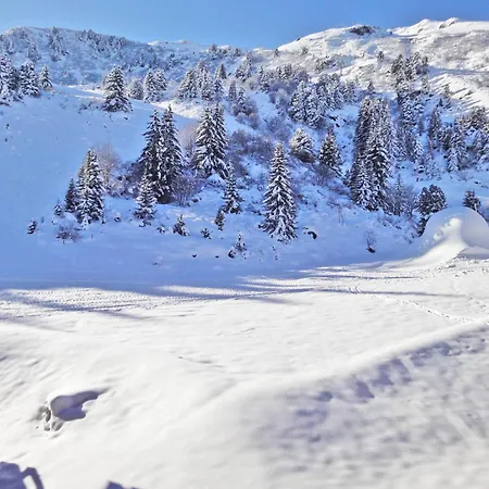 Apartment Creux De L Ours D - Divisible Skis Aux Pieds Proche Des Commerces Mae-9674 *